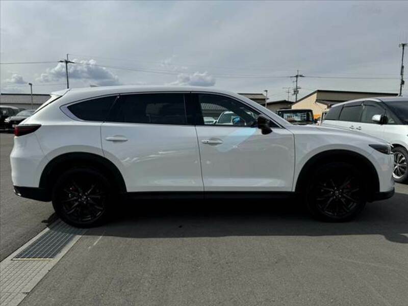 CX-8-10