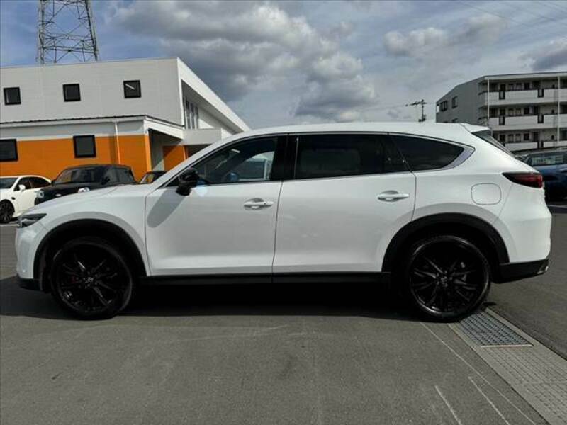 CX-8-11