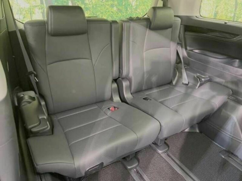 ALPHARD-10