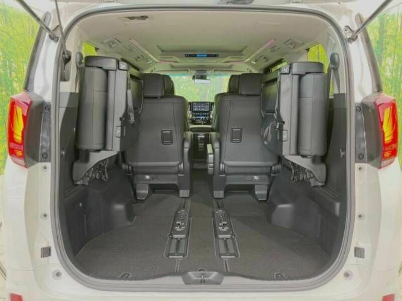 ALPHARD-11