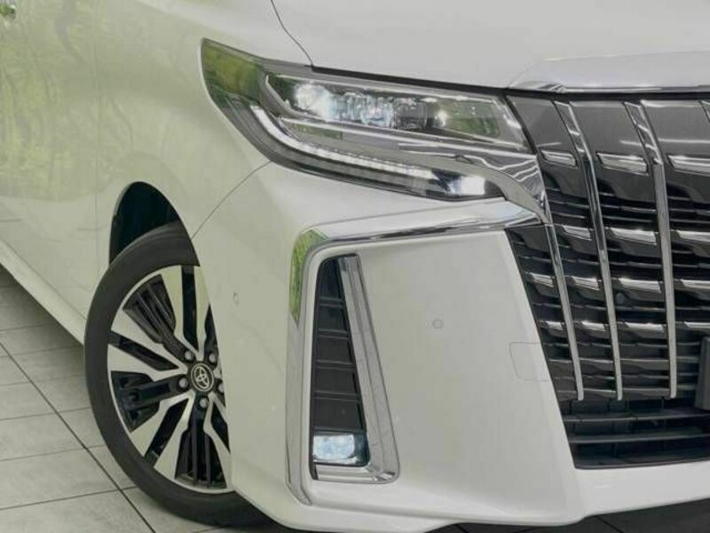 ALPHARD-13