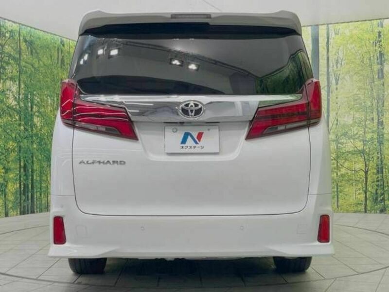 ALPHARD-16