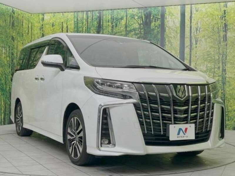 ALPHARD-17