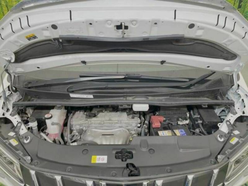 ALPHARD-19