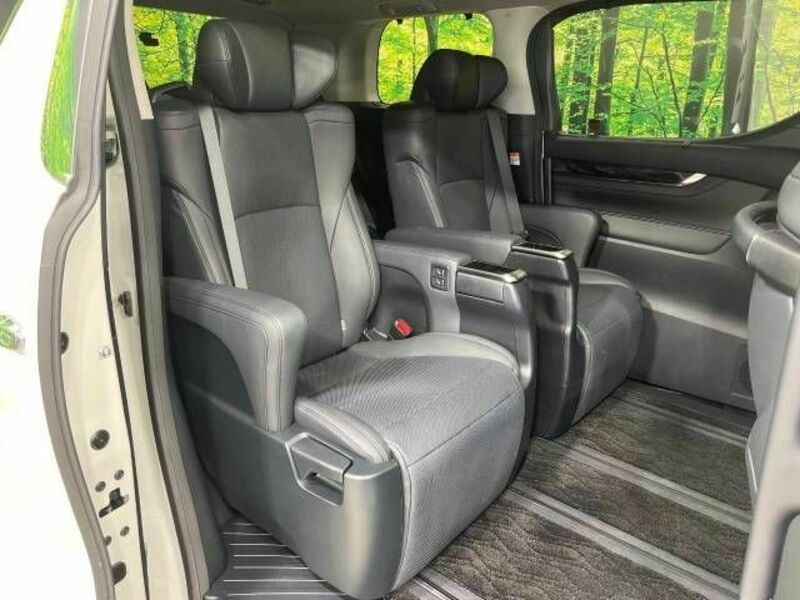 ALPHARD-10