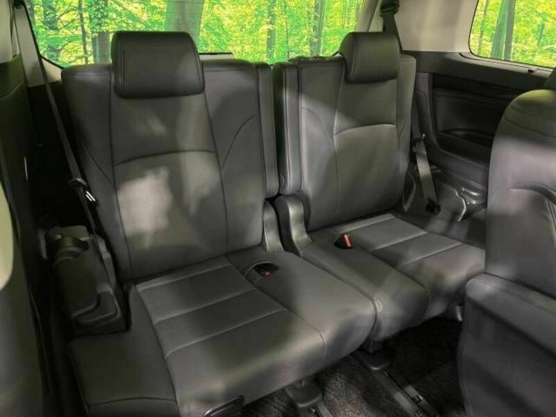 ALPHARD-11