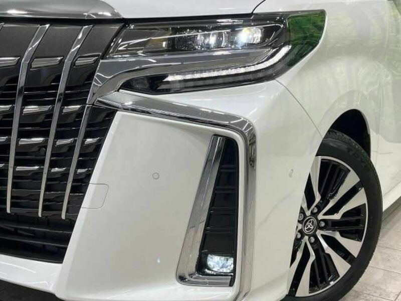 ALPHARD-13
