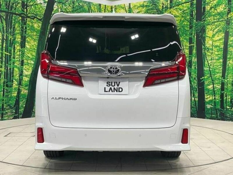 ALPHARD-17