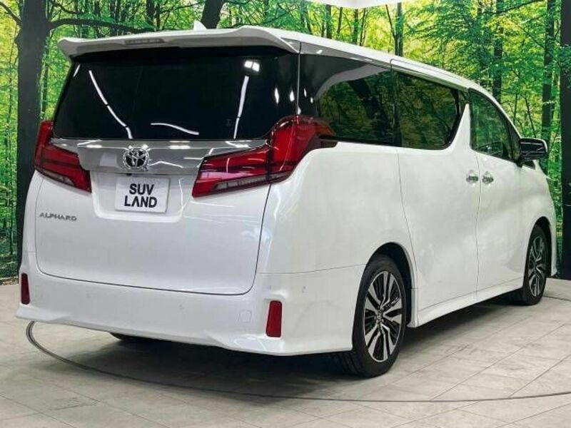 ALPHARD-19