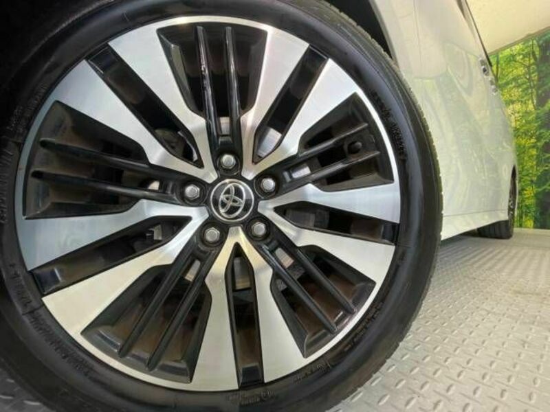 ALPHARD-12