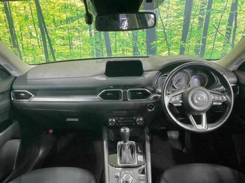 CX-5-1