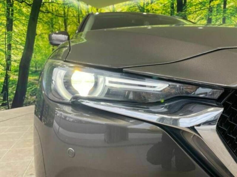 CX-5-13