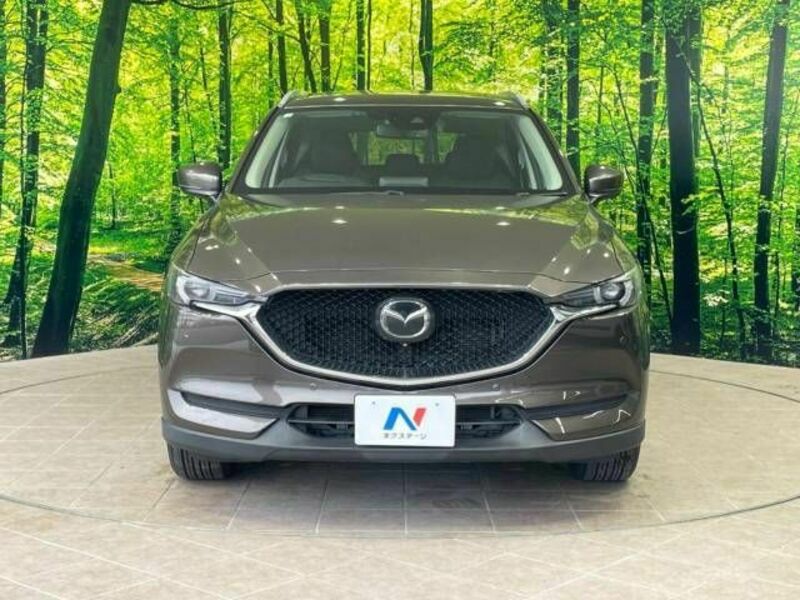 CX-5-14