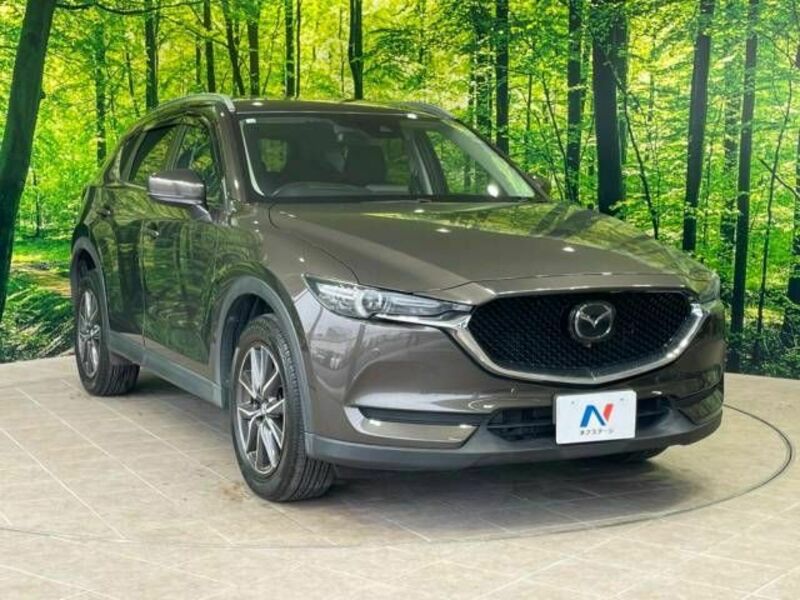 CX-5-16