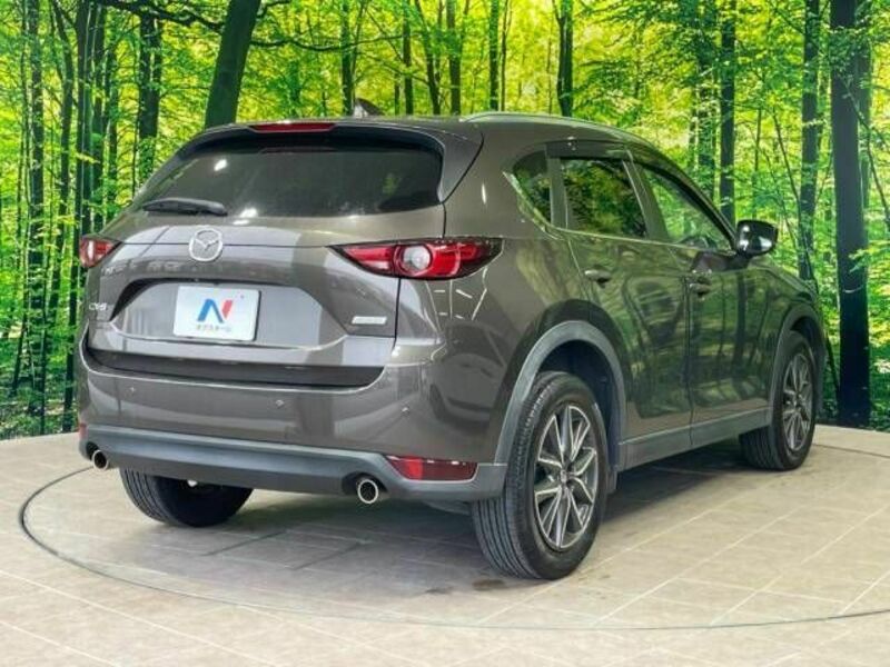 CX-5-17