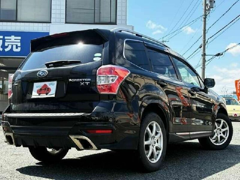 FORESTER-2