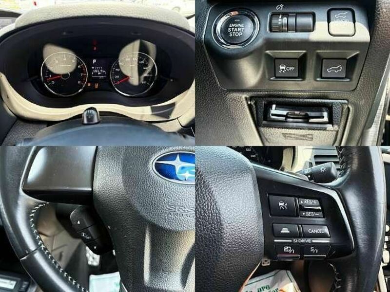 FORESTER-5