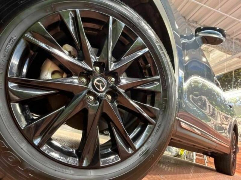 CX-8-12