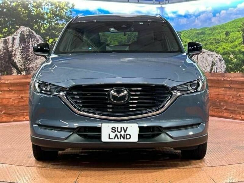 CX-8-13
