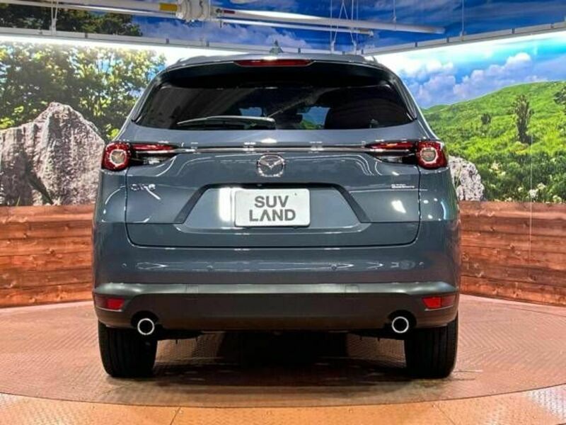 CX-8-14