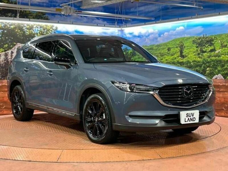 CX-8-15
