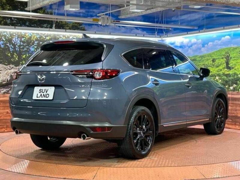 CX-8-16
