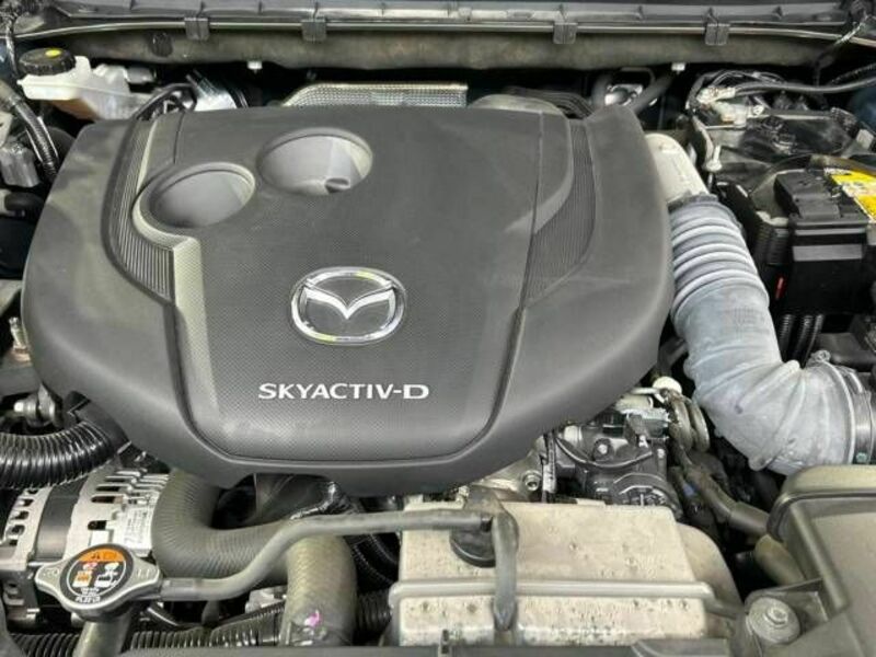 CX-8-17