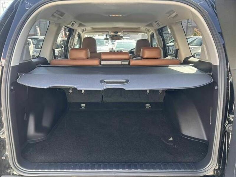 LAND CRUISER PRADO-19