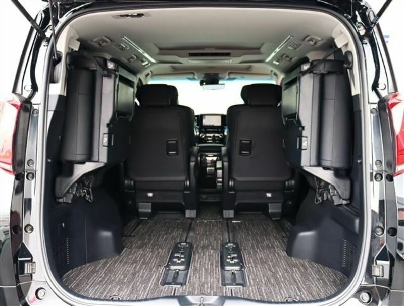 ALPHARD-10