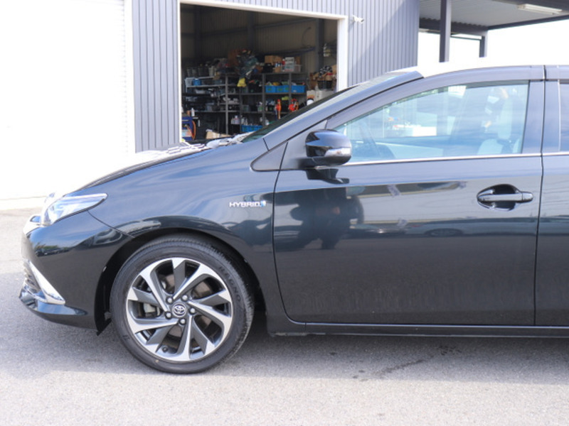 AURIS