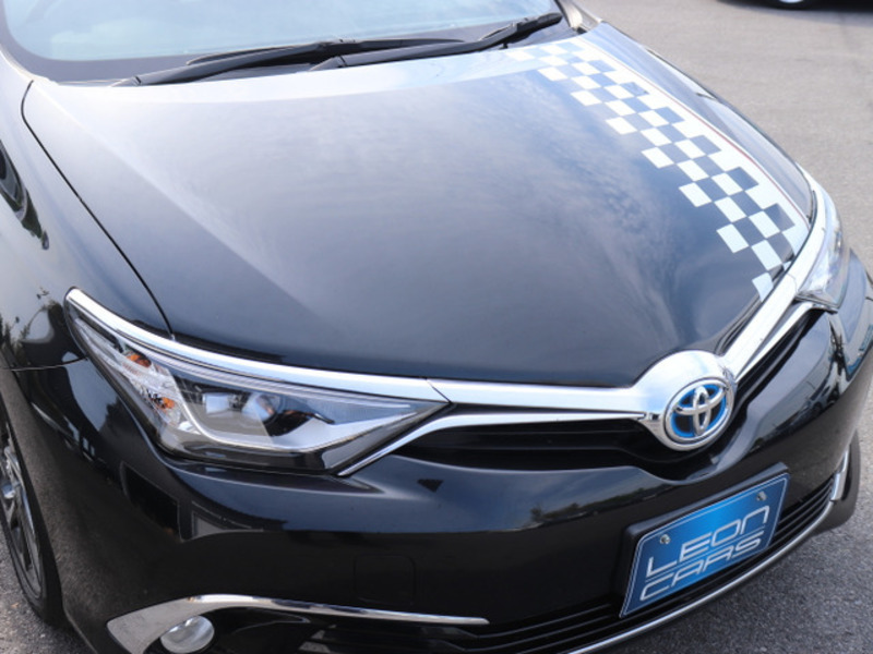 AURIS