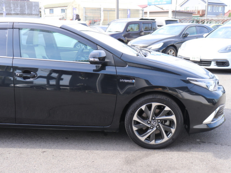 AURIS