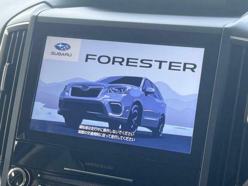 FORESTER