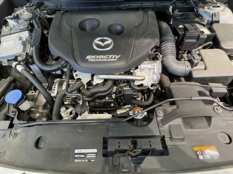 CX-3-17
