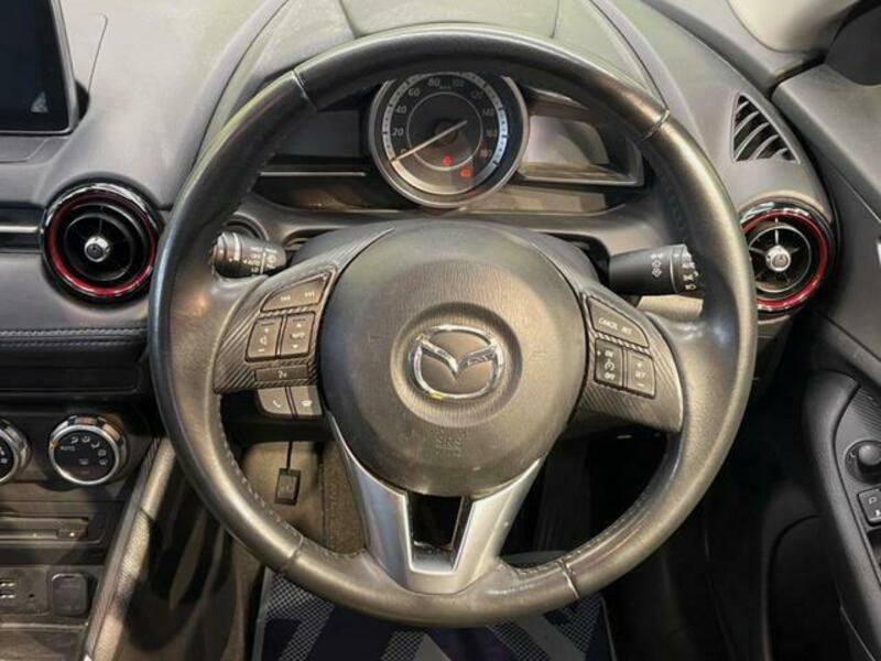 CX-3-10