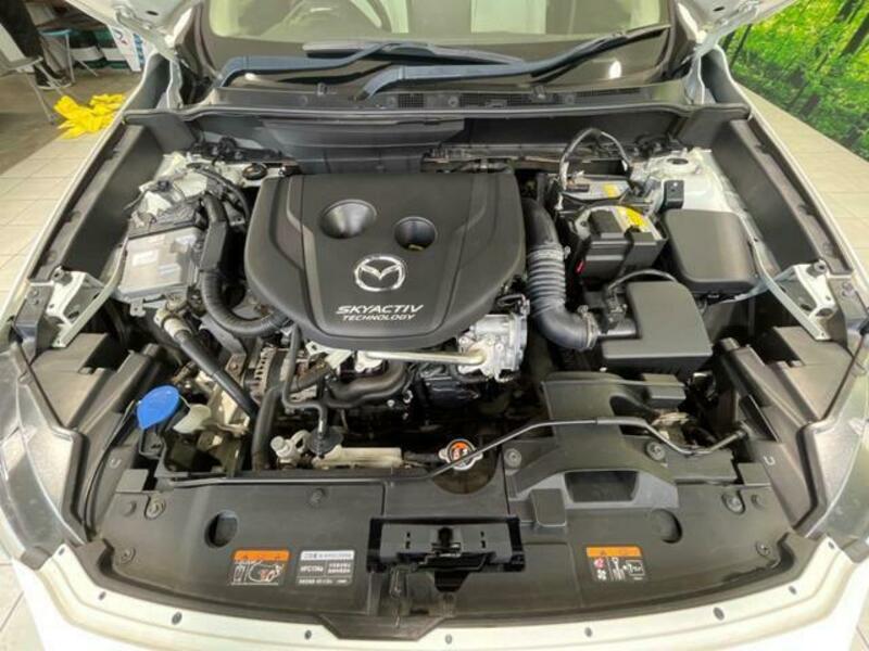 CX-3-17