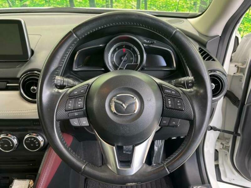 CX-3-10