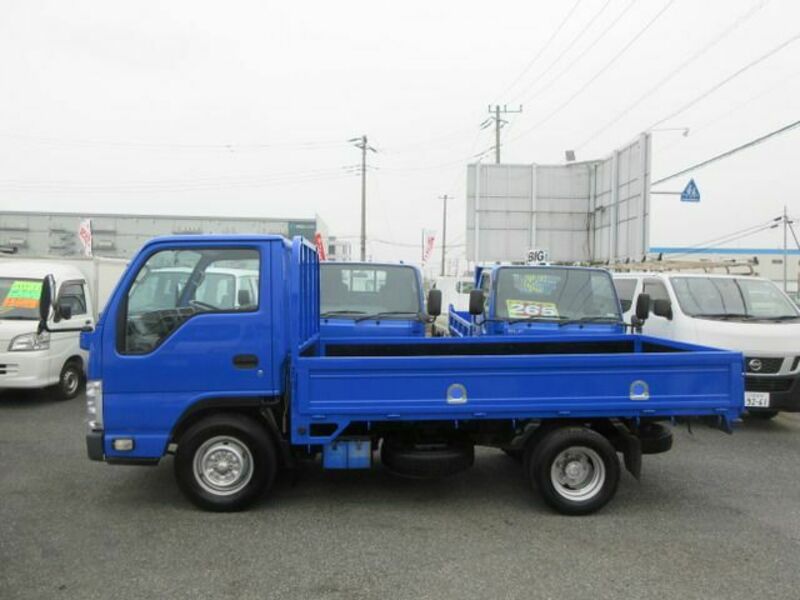 ELF-4