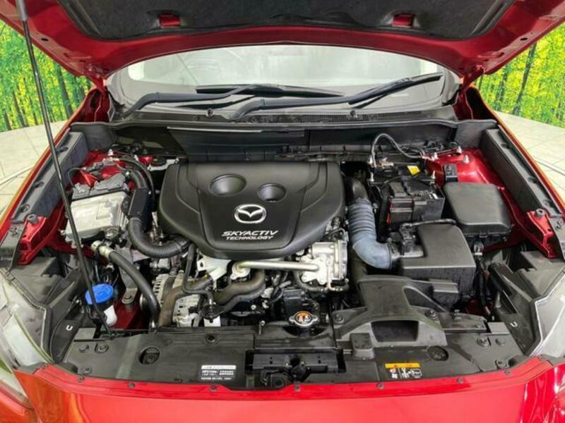 CX-3-18