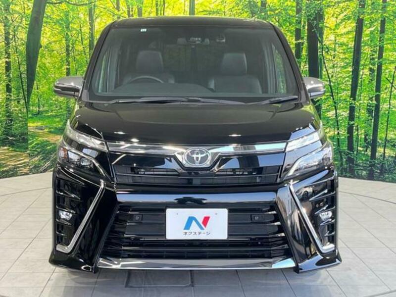 VOXY-15