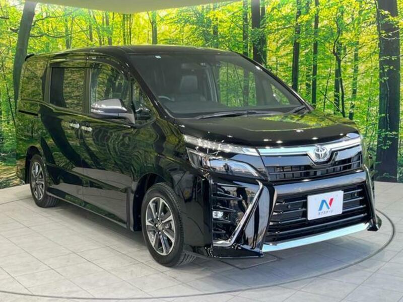 VOXY-17