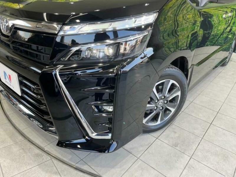 VOXY-13