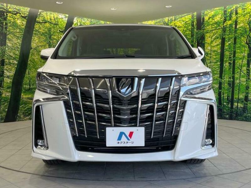 ALPHARD-15