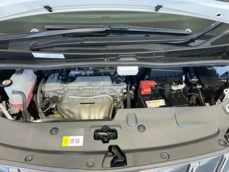 ALPHARD-19
