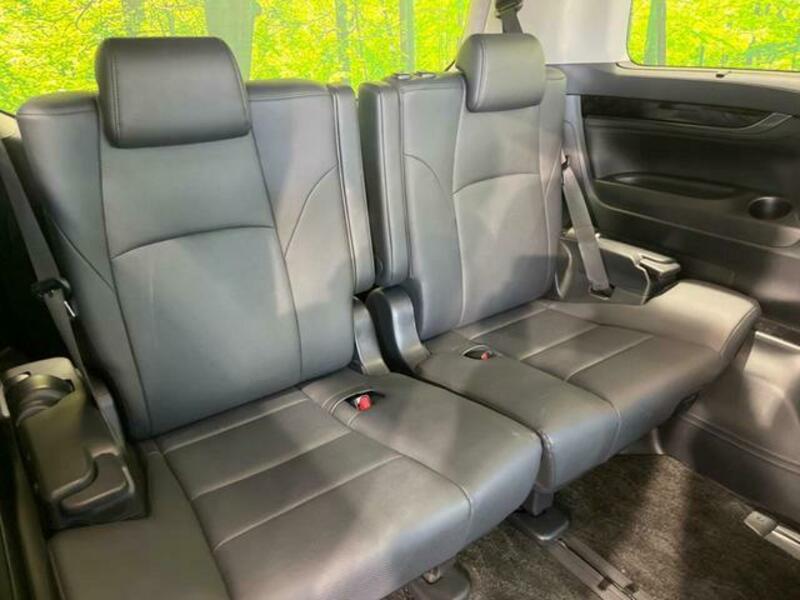 ALPHARD-10