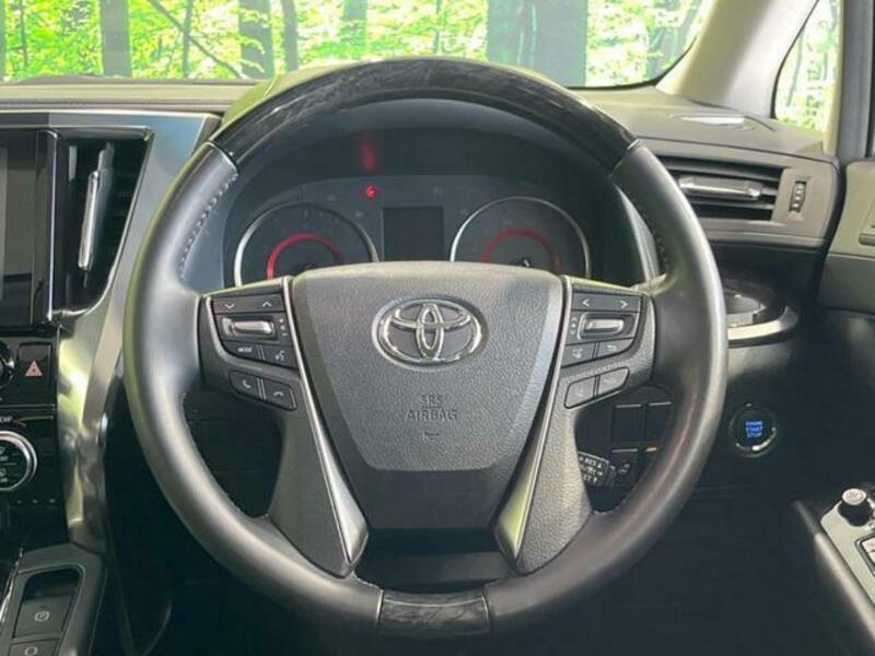 ALPHARD-12