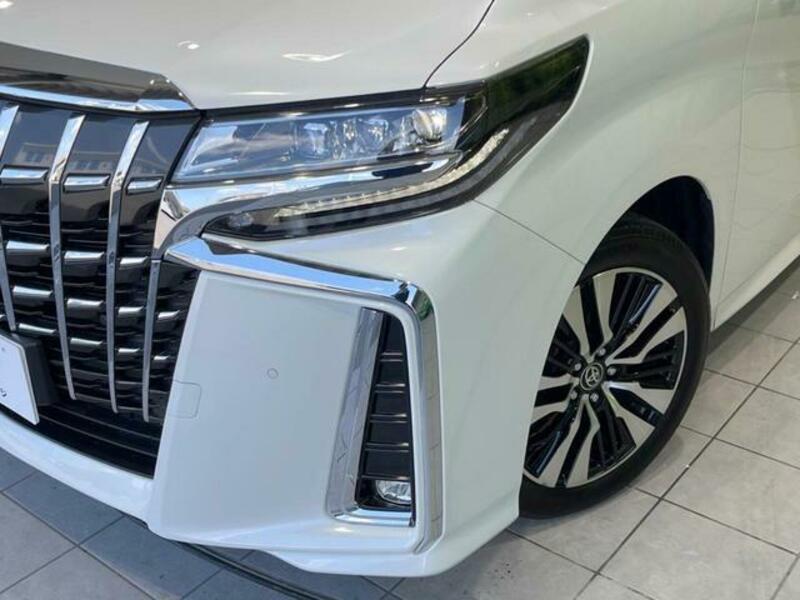 ALPHARD-13