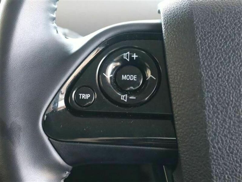 PRIUS-19