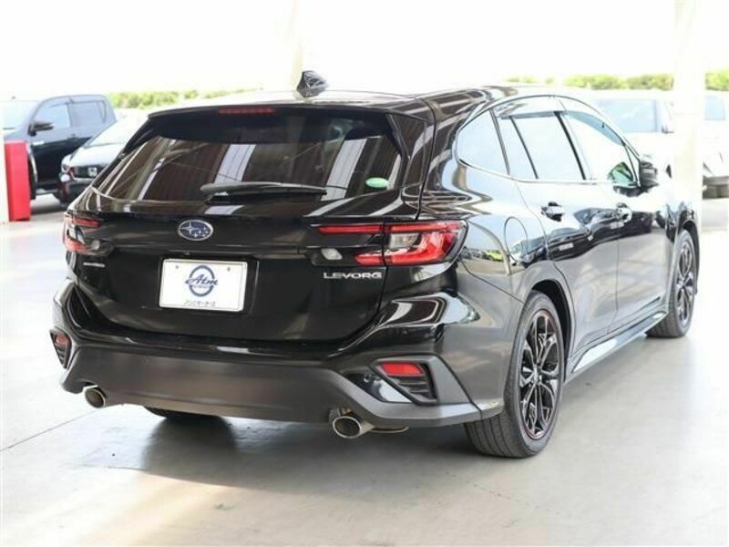 LEVORG