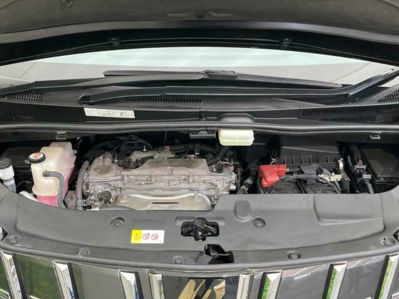 ALPHARD-17
